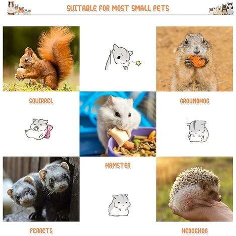 2 Pièces Petite Cage Pour Animaux De Compagnie Hamac Suspendu Tunnel Pour Petits Animaux Suspendus Lit Cage Guinée Hamac Cage Accessoires Pour – Image 5